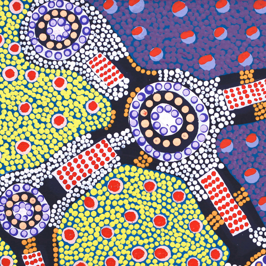 Aboriginal Art by Jennifer Napaljarri Lewis, Ngapa Jukurrpa (Water Dreaming) - Puyurru, 46x46cm - ART ARK®