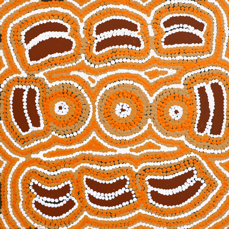 Aboriginal Artwork by Jenny Nangala Watson, Pirlarla Jukurrpa (Dogwood Tree Bean Dreaming), 30x30cm