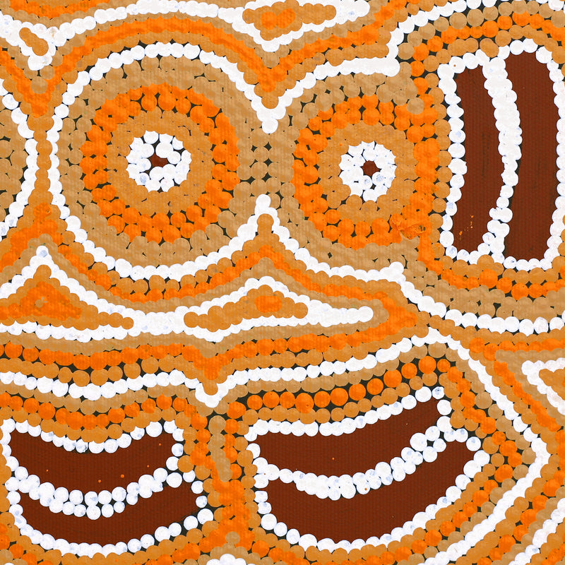 Aboriginal Artwork by Jenny Nangala Watson, Pirlarla Jukurrpa (Dogwood Tree Bean Dreaming), 30x30cm