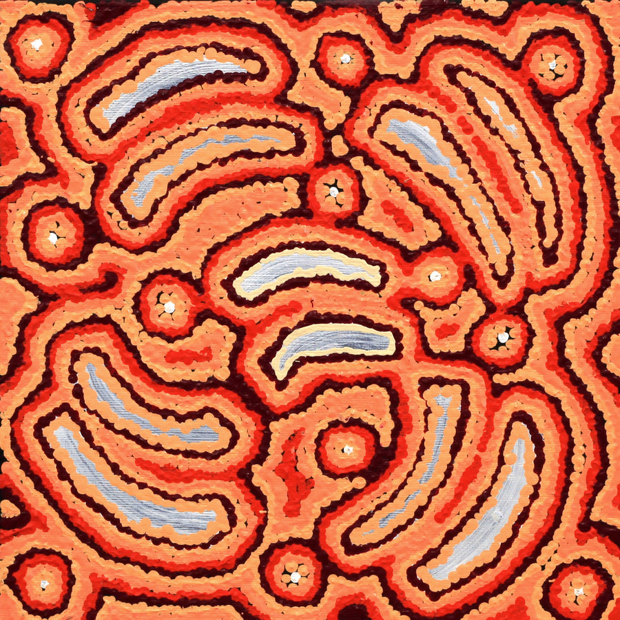 Aboriginal Artwork by Jenny Nangala Watson, Pirlarla Jukurrpa (Dogwood Tree Bean Dreaming), 30x30cm