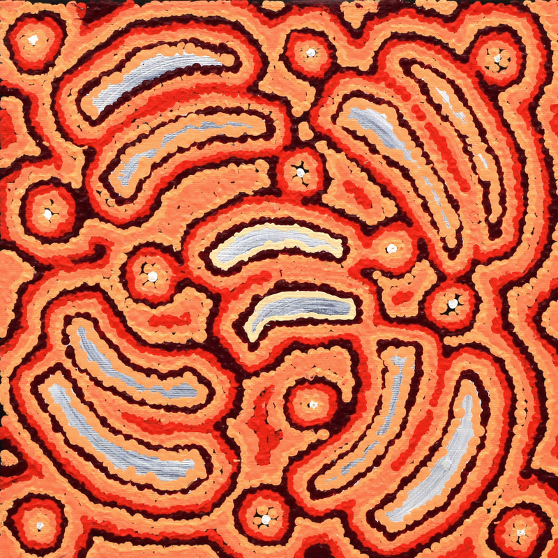 Aboriginal Artwork by Jenny Nangala Watson, Pirlarla Jukurrpa (Dogwood Tree Bean Dreaming), 30x30cm