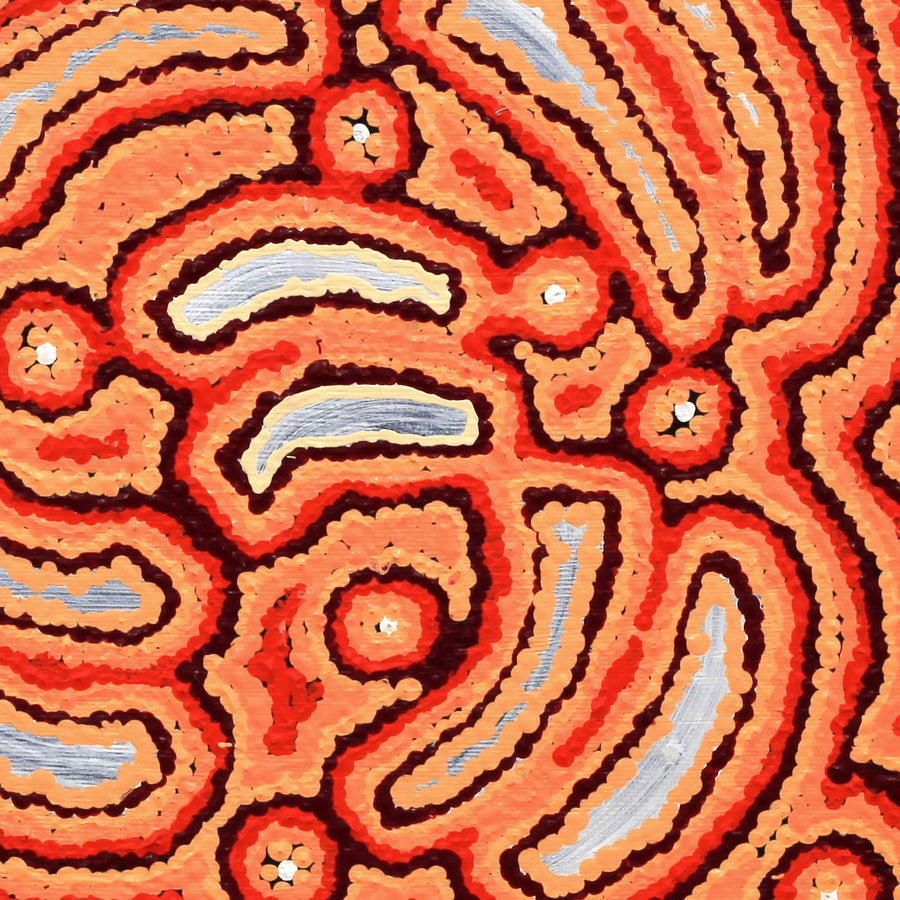 Aboriginal Artwork by Jenny Nangala Watson, Pirlarla Jukurrpa (Dogwood Tree Bean Dreaming), 30x30cm