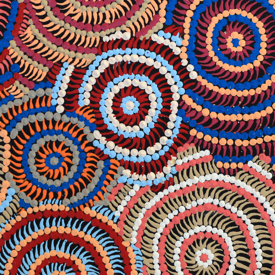 Aboriginal Artwork by Jerusha Nungarrayi Morris, Lukarrara Jukurrpa (Desert Fringe-rush Seed Dreaming), 30x30cm