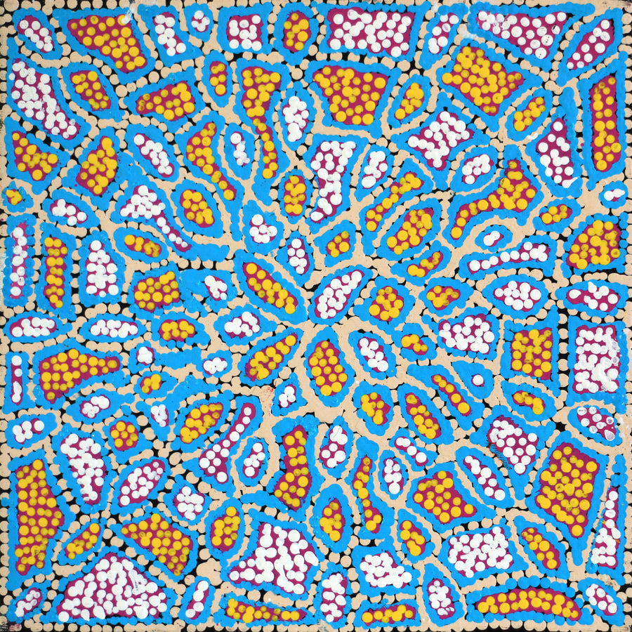 Aboriginal Artwork by Jerusha Nungarrayi Morris, Lukarrara Jukurrpa (Desert Fringe-rush Seed Dreaming), 30x30cm
