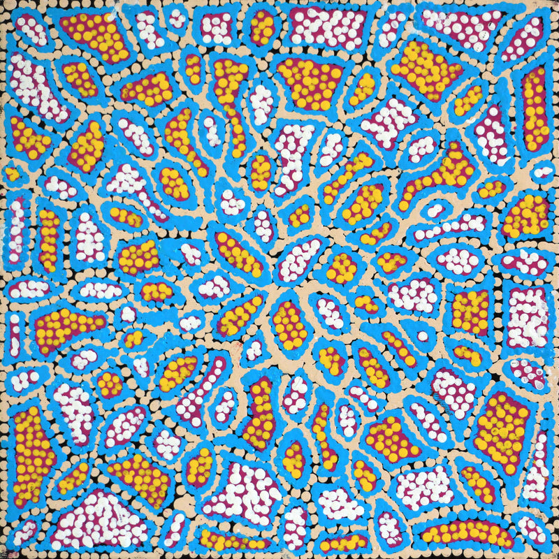 Aboriginal Artwork by Jerusha Nungarrayi Morris, Lukarrara Jukurrpa (Desert Fringe-rush Seed Dreaming), 30x30cm