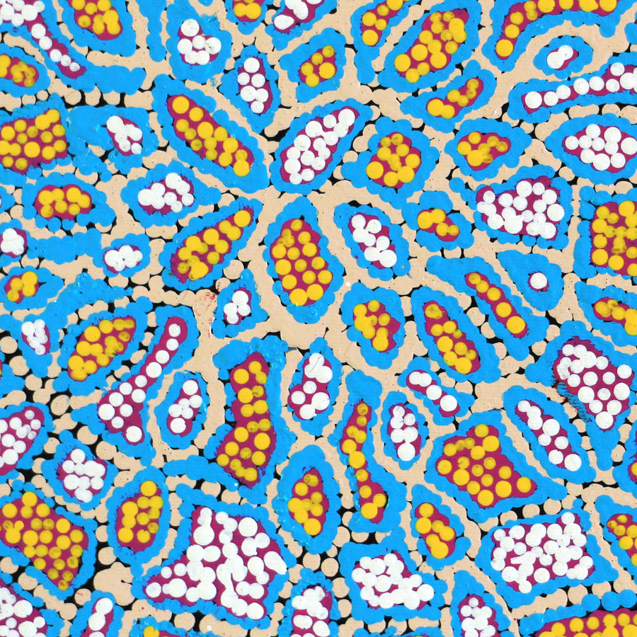 Aboriginal Artwork by Jerusha Nungarrayi Morris, Lukarrara Jukurrpa (Desert Fringe-rush Seed Dreaming), 30x30cm