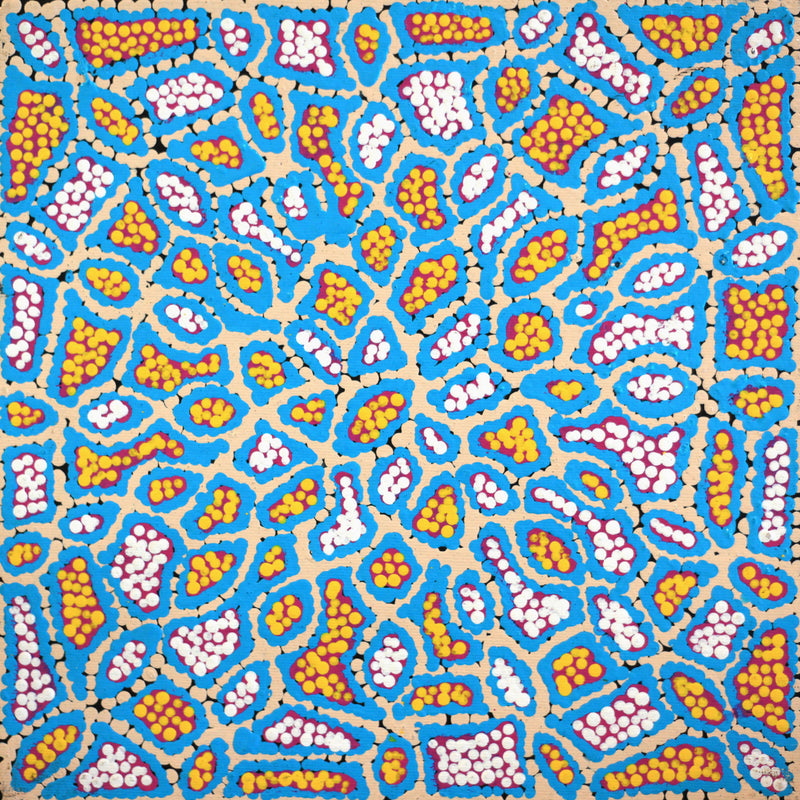 Aboriginal Artwork by Jerusha Nungarrayi Morris, Lukarrara Jukurrpa (Desert Fringe-rush Seed Dreaming), 30x30cm