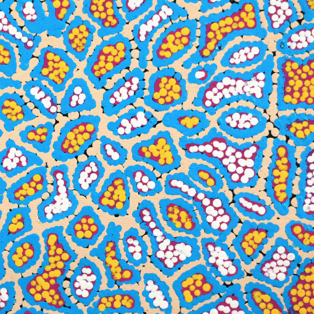 Aboriginal Artwork by Jerusha Nungarrayi Morris, Lukarrara Jukurrpa (Desert Fringe-rush Seed Dreaming), 30x30cm