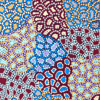 Aboriginal Artwork by Jerusha Nungarrayi Morris, Lukarrara Jukurrpa, 61x30cm