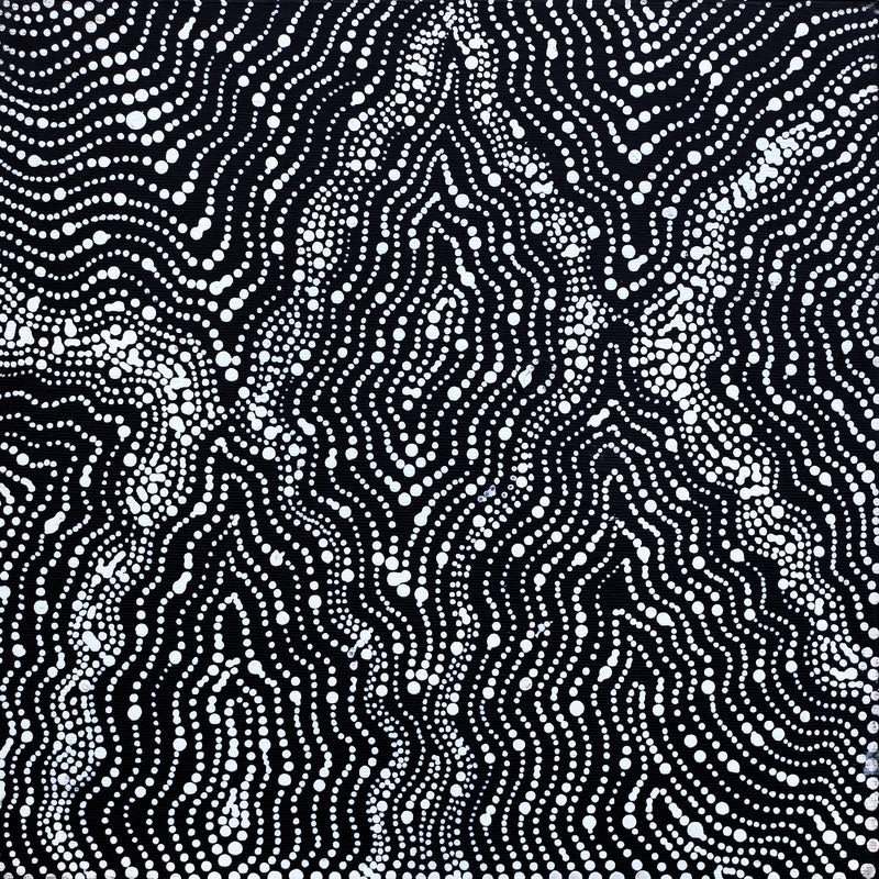 Aboriginal Artwork by Jessica Napanangka Lewis, Mina Mina Jukurrpa, 30x30cm