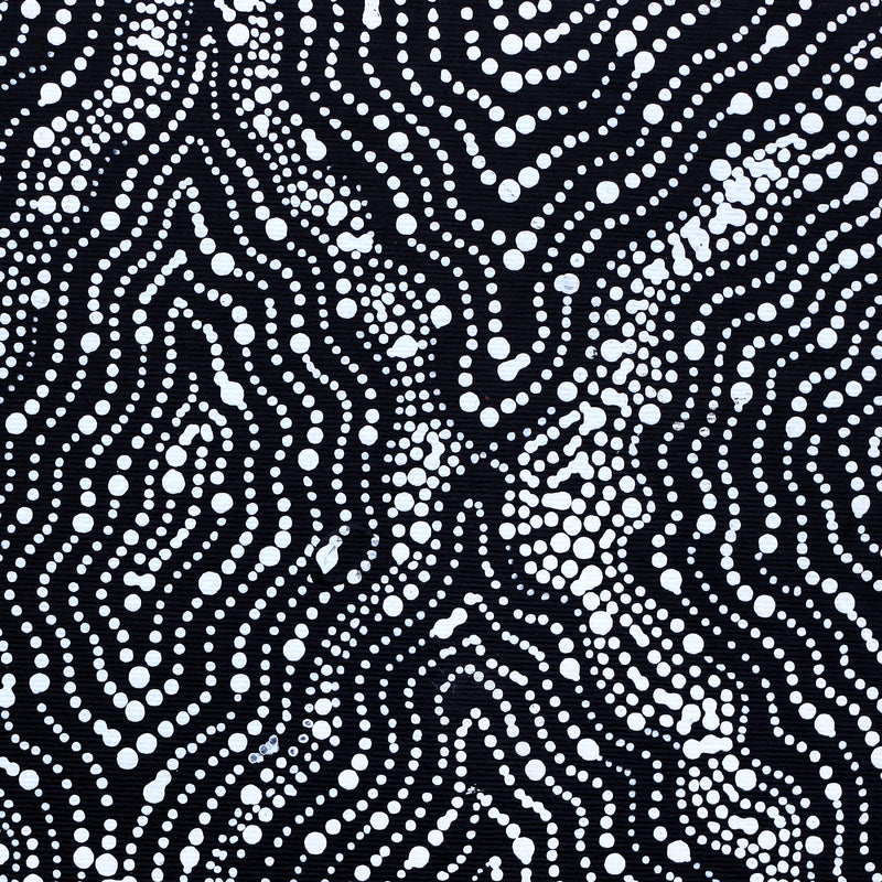 Aboriginal Artwork by Jessica Napanangka Lewis, Mina Mina Jukurrpa, 30x30cm