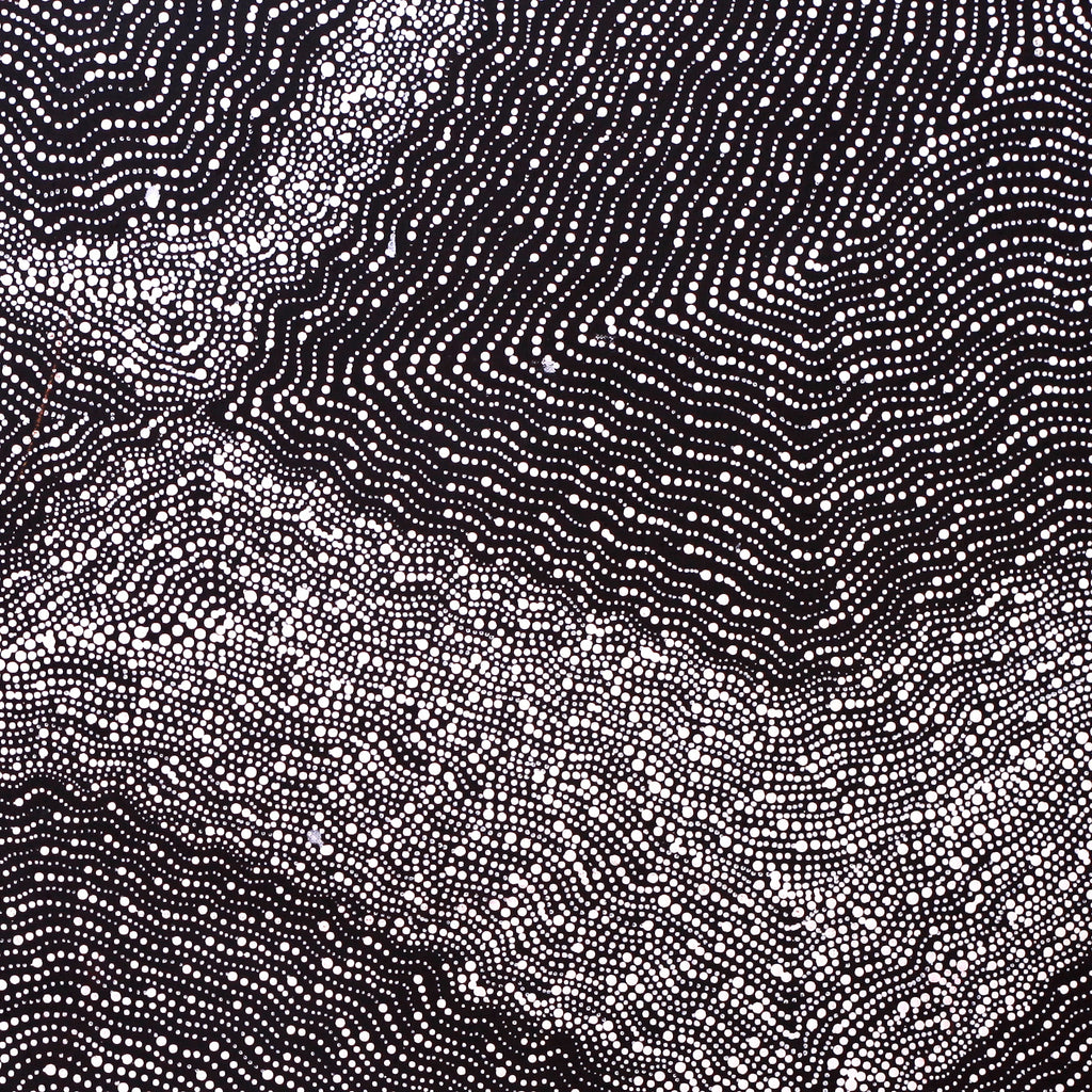 Aboriginal Artwork by Jessica Napanangka Lewis, Mina Mina Jukurrpa, 61x61cm