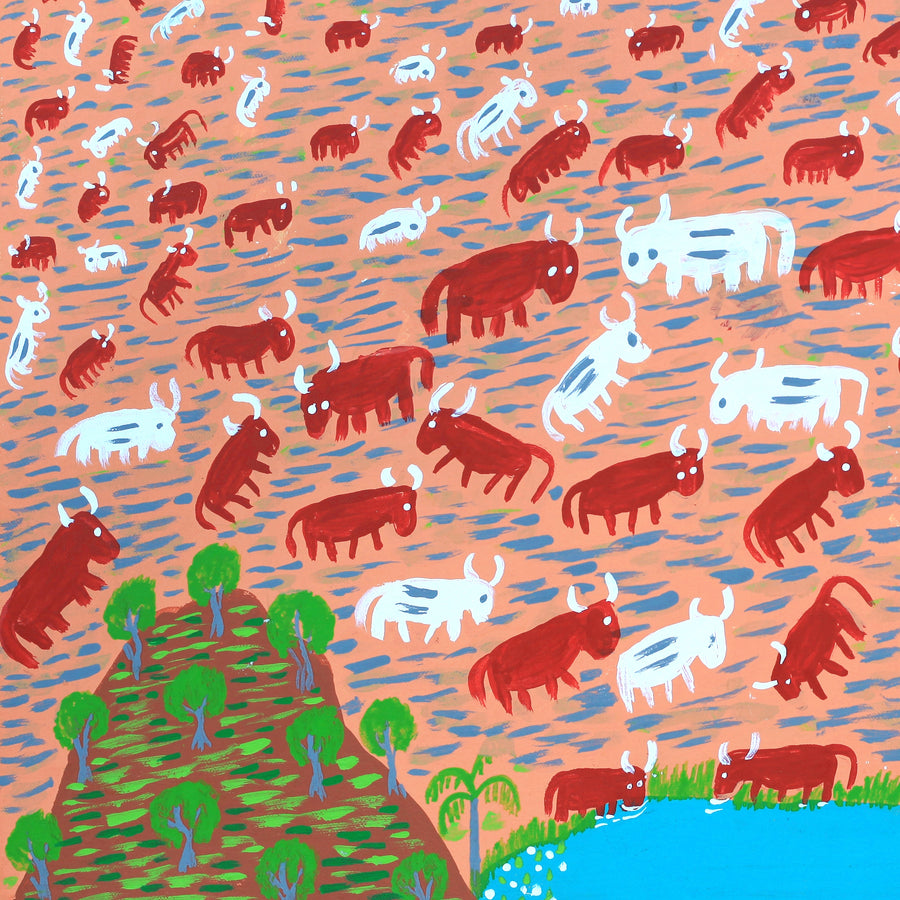Aboriginal Artwork by Jill Daniels, Cattle drinking, 60x45cm