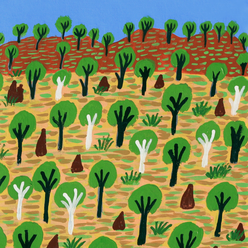 Aboriginal Artwork by Jill Daniels, Roper Bar, 60x60cm