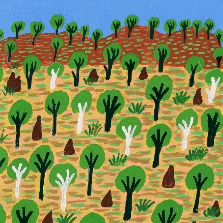 Aboriginal Artwork by Jill Daniels, Roper Bar, 60x60cm