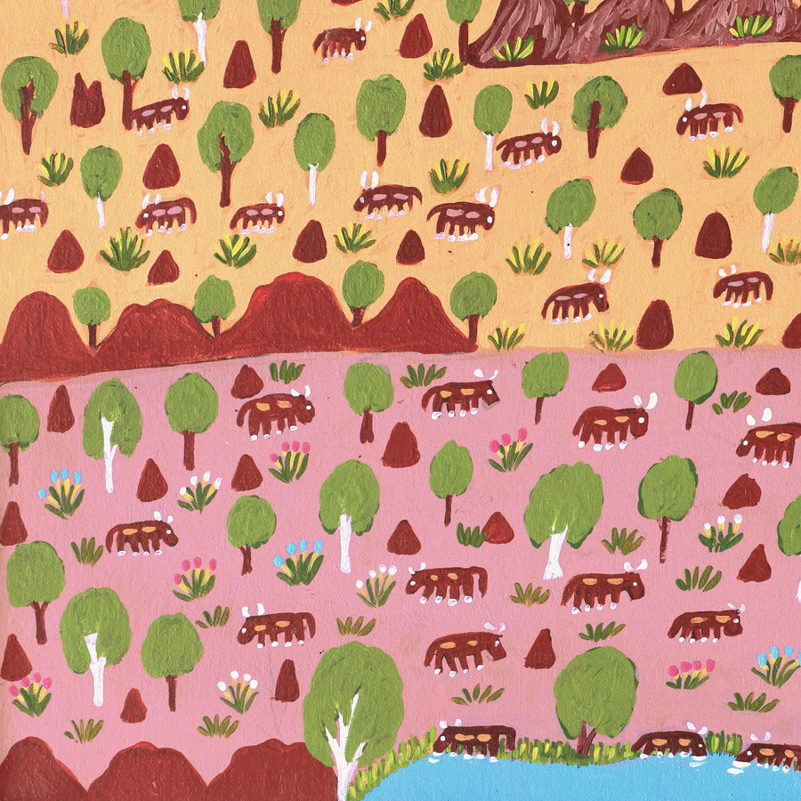 Aboriginal Artwork by Jill Daniels, Cattle Country, 60x45cm
