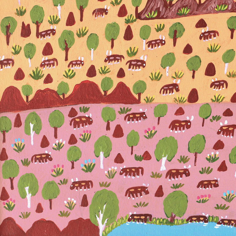 Aboriginal Artwork by Jill Daniels, Cattle Country, 60x45cm