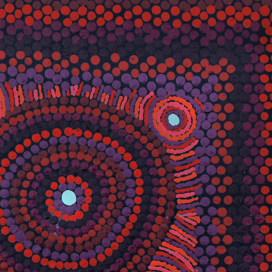 Aboriginal Artwork by Jill Nungarrayi Watson, Janmarda Jukurrpa, 30x30cm