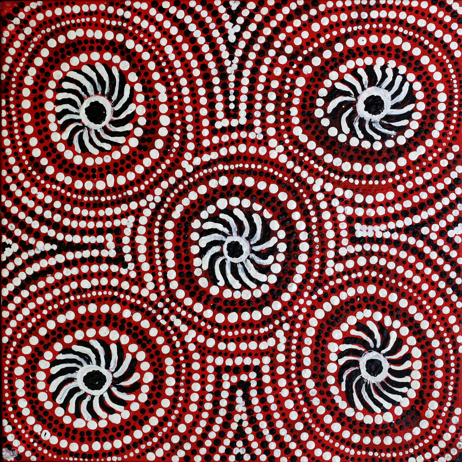 Aboriginal Artwork by Jill Nungarrayi Watson, Janmarda Jukurrpa, 30x30cm