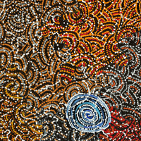 Aboriginal Artwork by Jillian Nampijinpa Brown, Ngapa Jukurrpa (Water Dreaming) - Mikanji, 91x61cm