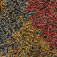 Aboriginal Artwork by Jillian Nampijinpa Brown, Ngapa Jukurrpa (Water Dreaming) - Mikanji, 91x61cm