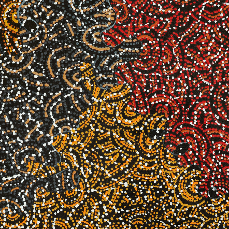 Aboriginal Artwork by Jillian Nampijinpa Brown, Ngapa Jukurrpa (Water Dreaming) - Mikanji, 91x61cm