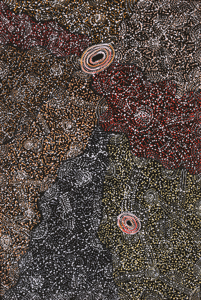 Aboriginal Artwork by Jillian Nampijinpa Brown, Ngapa Jukurrpa (Water Dreaming) - Mikanji, 91x61cm