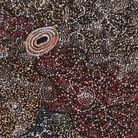 Aboriginal Artwork by Jillian Nampijinpa Brown, Ngapa Jukurrpa (Water Dreaming) - Mikanji, 91x61cm