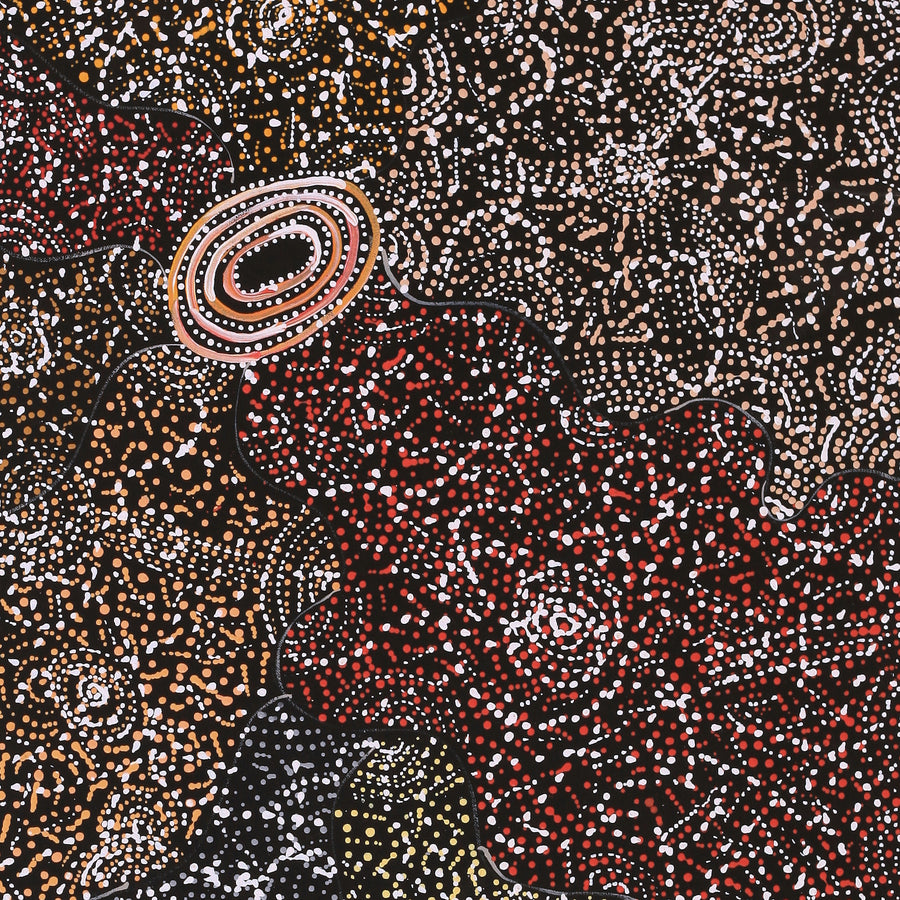 Aboriginal Artwork by Jillian Nampijinpa Brown, Ngapa Jukurrpa (Water Dreaming) - Mikanji, 91x61cm