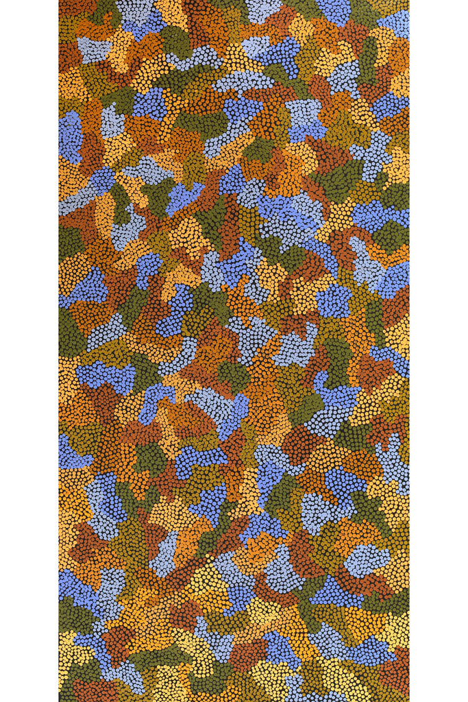 Aboriginal Artwork by Joanne Davidson, Walka Wiru Ngura Wiru, 122x61cm