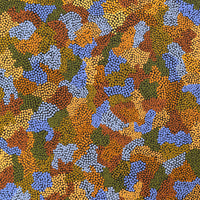 Aboriginal Artwork by Joanne Davidson, Walka Wiru Ngura Wiru, 122x61cm