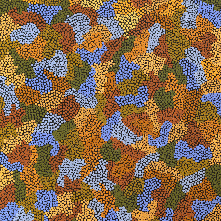 Aboriginal Artwork by Joanne Davidson, Walka Wiru Ngura Wiru, 122x61cm