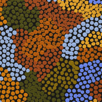 Aboriginal Artwork by Joanne Davidson, Walka Wiru Ngura Wiru, 122x61cm