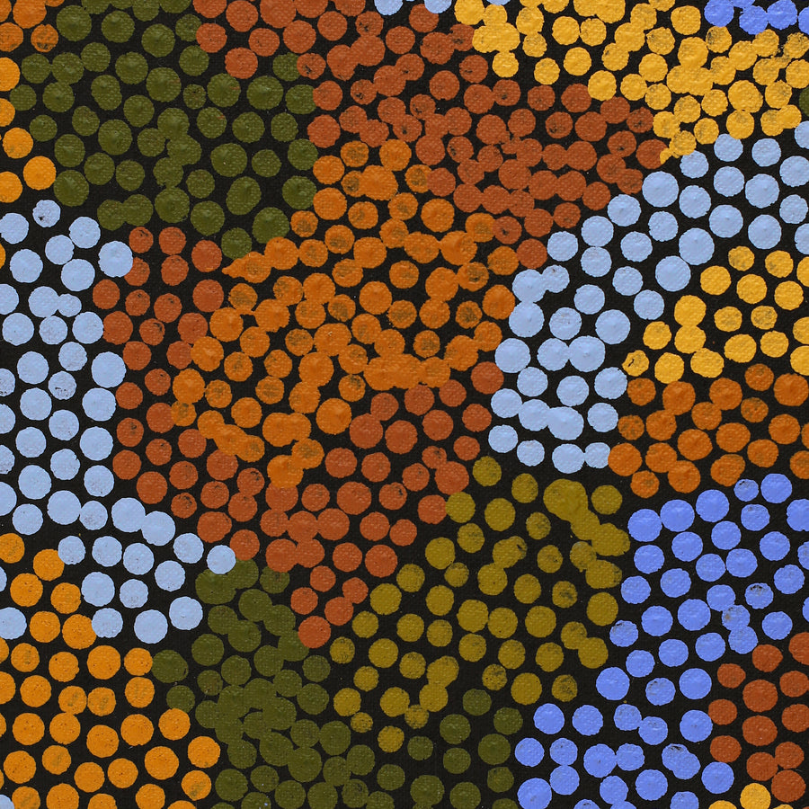 Aboriginal Artwork by Joanne Davidson, Walka Wiru Ngura Wiru, 122x61cm