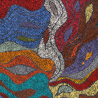 Aboriginal Artwork by Joanne Davidson, Walka Wiru Ngura Wiru, 91x61cm
