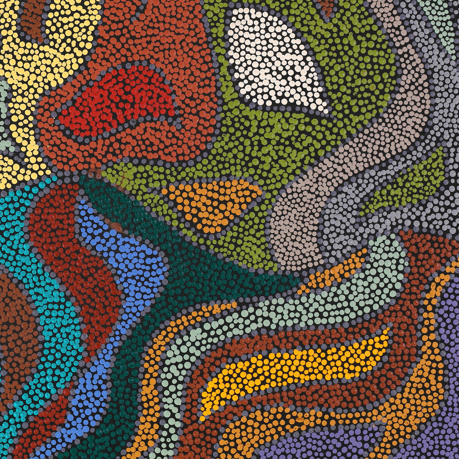 Aboriginal Artwork by Joanne Davidson, Walka Wiru Ngura Wiru, 91x61cm