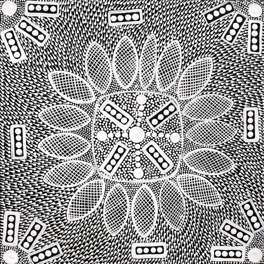 Aboriginal Artwork by Jocelyn Napanangka Frank, Lukarrara Jukurrpa, 30x30cm