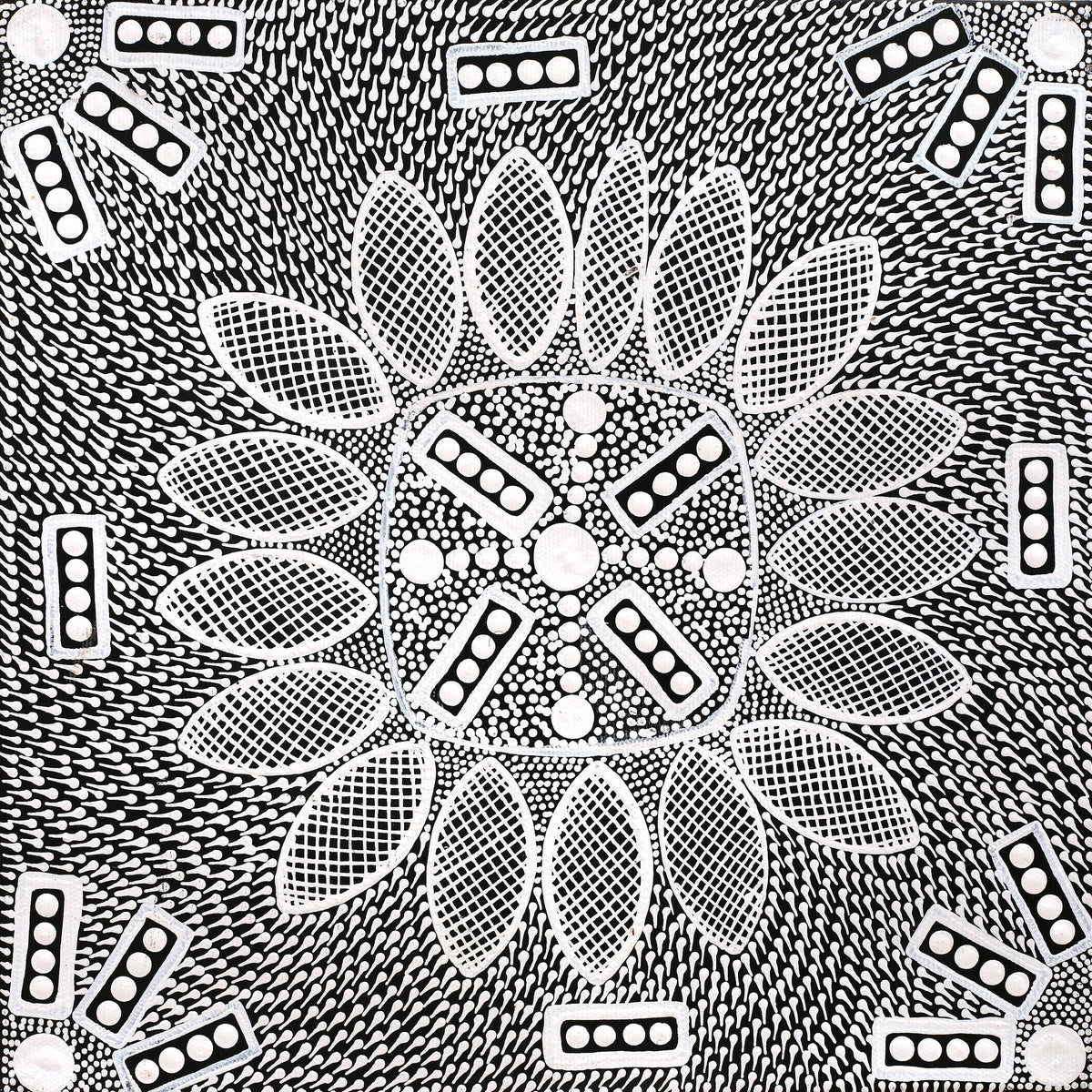 Aboriginal Art by Jocelyn Napanangka Frank, Lukarrara Jukurrpa, 30x30cm - ART ARK®