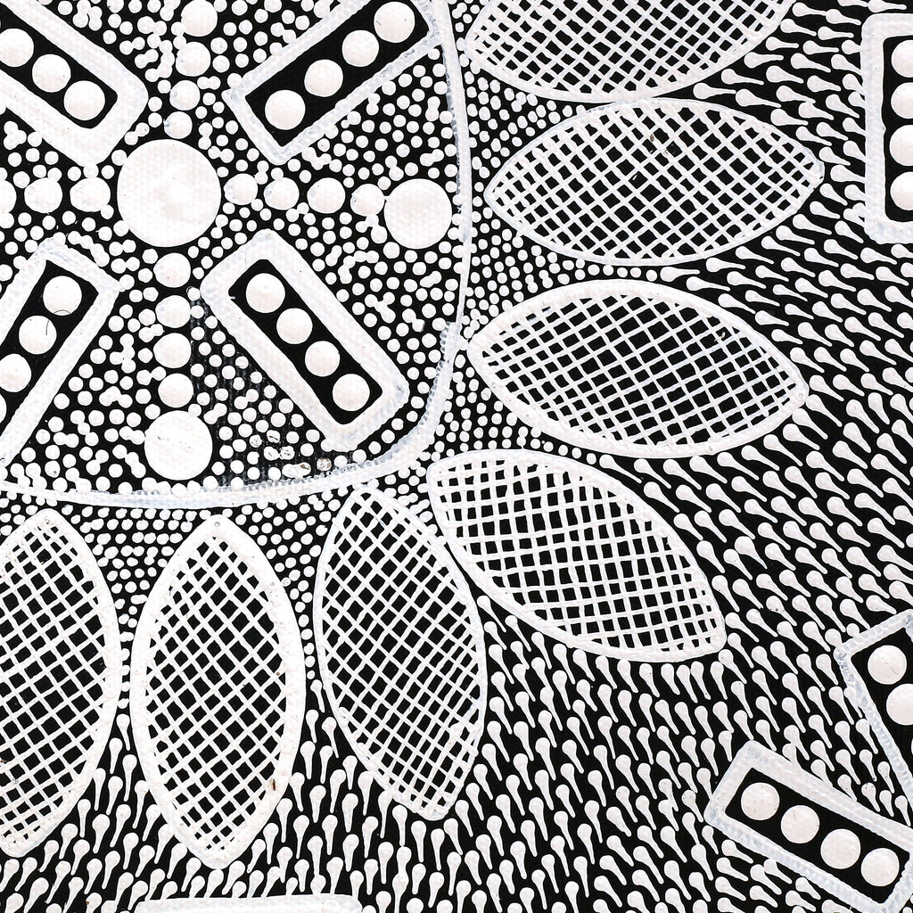 Aboriginal Artwork by Jocelyn Napanangka Frank, Lukarrara Jukurrpa, 30x30cm