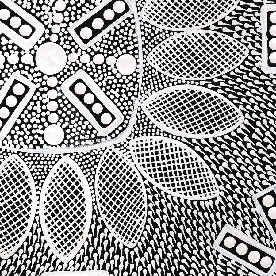 Aboriginal Artwork by Jocelyn Napanangka Frank, Lukarrara Jukurrpa, 30x30cm