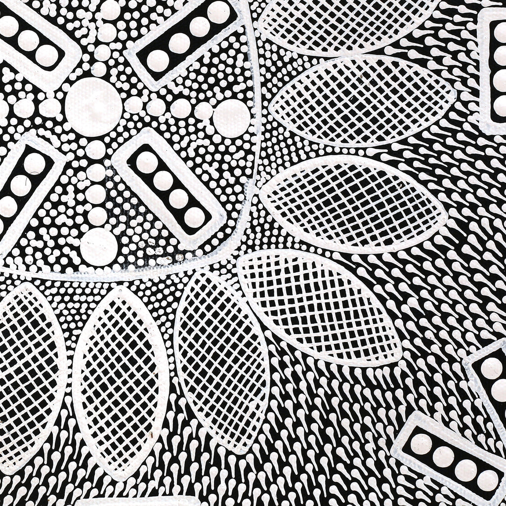 Aboriginal Art by Jocelyn Napanangka Frank, Lukarrara Jukurrpa, 30x30cm - ART ARK®