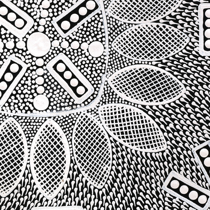 Aboriginal Artwork by Jocelyn Napanangka Frank, Lukarrara Jukurrpa, 30x30cm