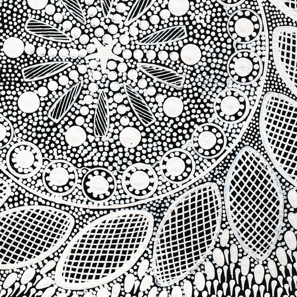 Aboriginal Artwork by Jocelyn Napanangka Frank, Lukarrara Jukurrpa, 30x30cm