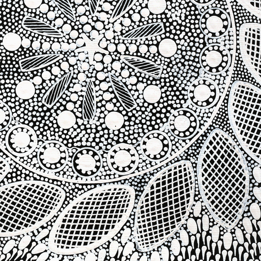 Aboriginal Artwork by Jocelyn Napanangka Frank, Lukarrara Jukurrpa, 30x30cm