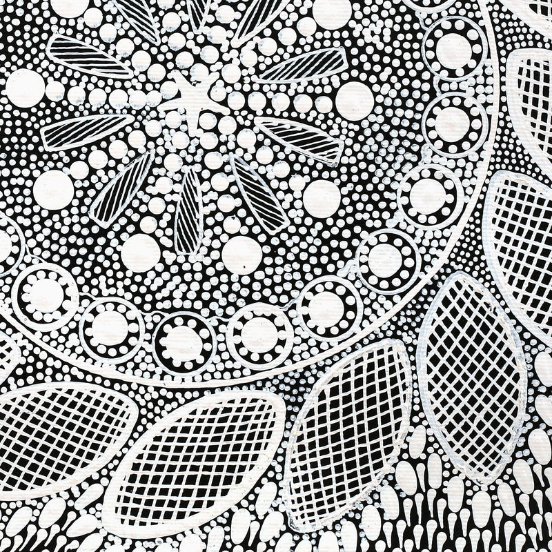 Aboriginal Artwork by Jocelyn Napanangka Frank, Lukarrara Jukurrpa, 30x30cm