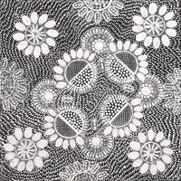 Aboriginal Artwork by Jocelyn Napanangka Frank, Lukarrara Jukurrpa, 40x40cm