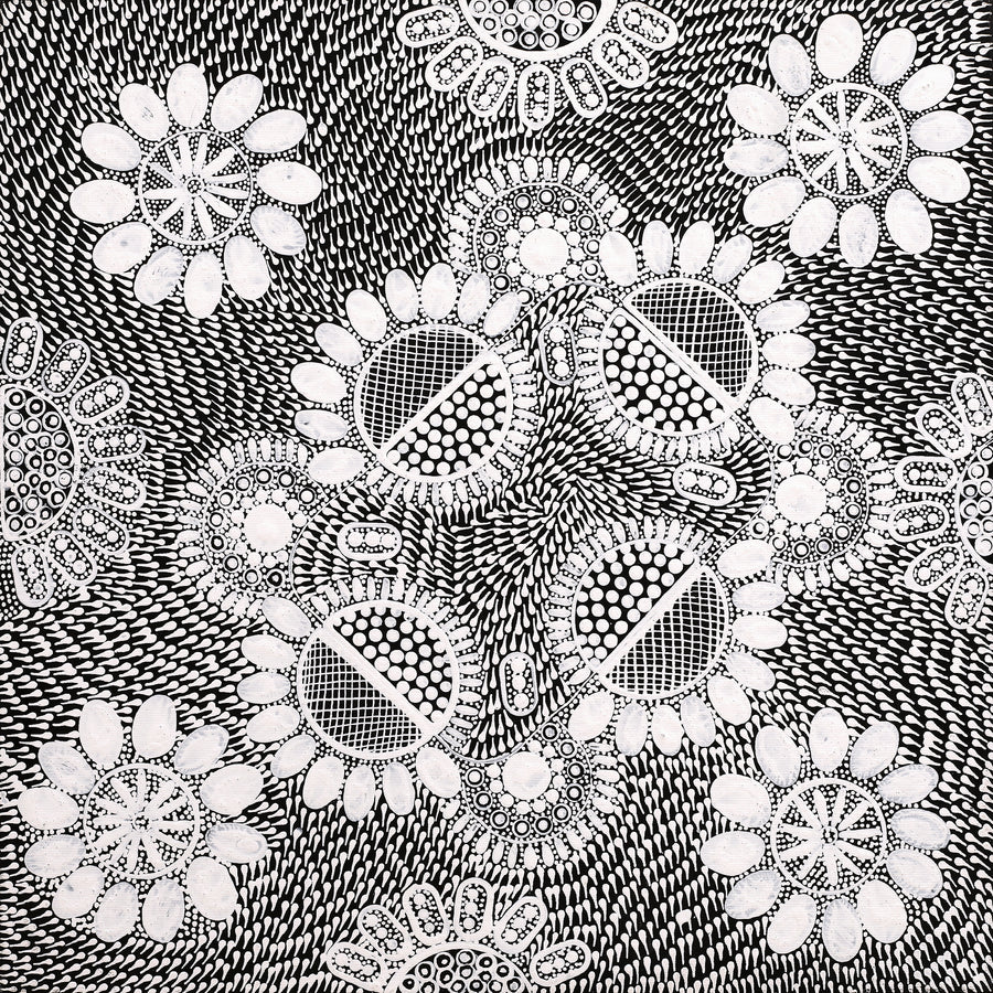 Aboriginal Artwork by Jocelyn Napanangka Frank, Lukarrara Jukurrpa, 40x40cm