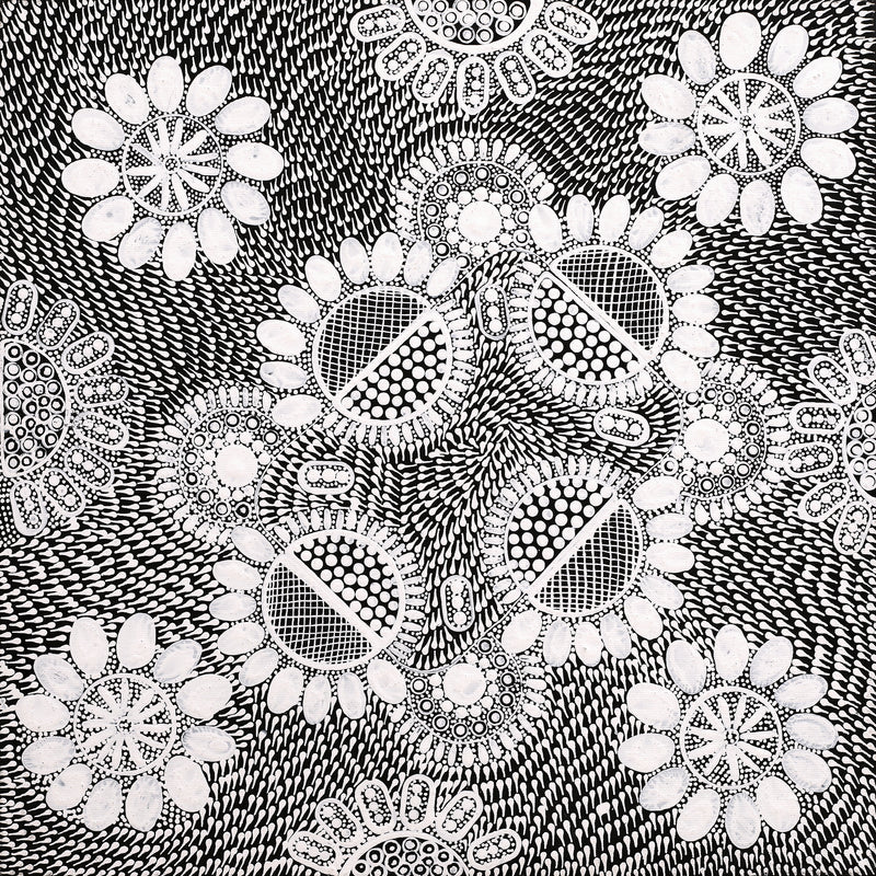 Aboriginal Artwork by Jocelyn Napanangka Frank, Lukarrara Jukurrpa, 40x40cm