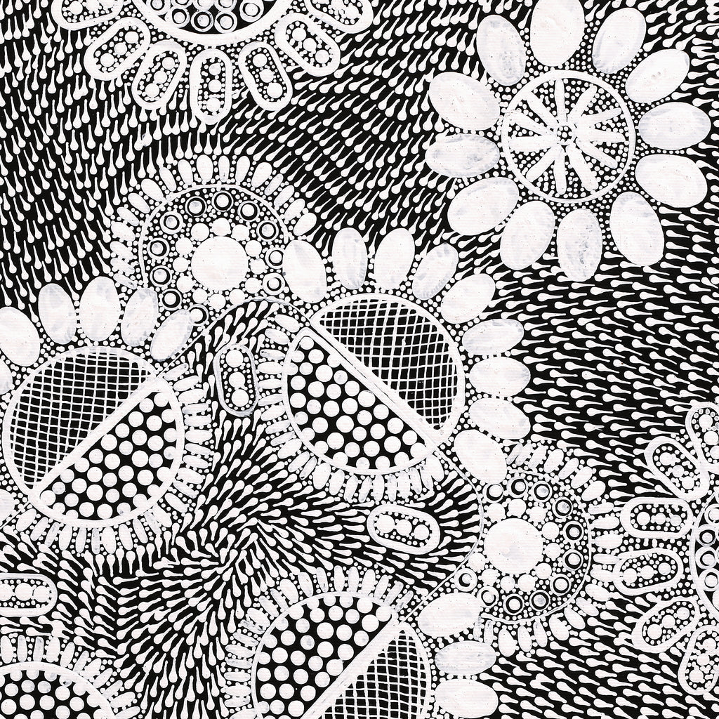 Aboriginal Artwork by Jocelyn Napanangka Frank, Lukarrara Jukurrpa, 40x40cm