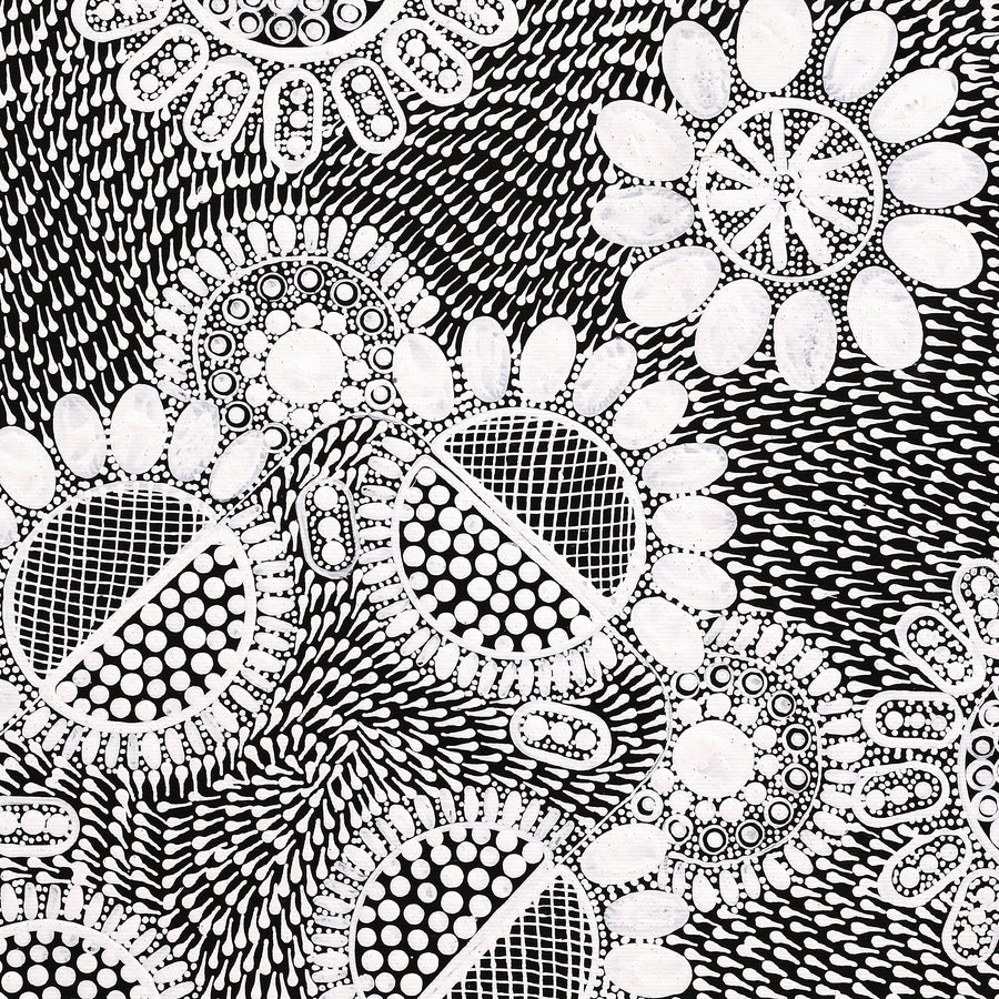 Aboriginal Artwork by Jocelyn Napanangka Frank, Lukarrara Jukurrpa, 40x40cm